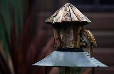 Close-up of birdhouse on nest