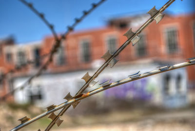 Barbed wire fence against buildings in city