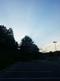 Trees against sky