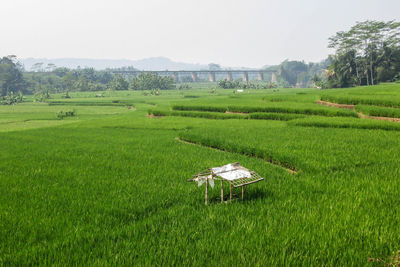 Scenic view of farm against sky