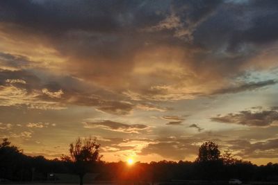 Silhouette trees against sky during sunset