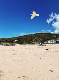 People jumping on beach against blue sky