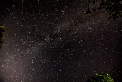 Low angle view of star field