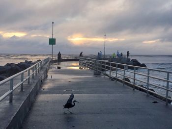 Silhouette birds perching on pier over sea against sky