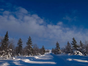 Scenic view of snow covered landscape