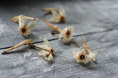 High angle view of dry leaves on table