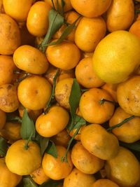 Full frame shot of oranges