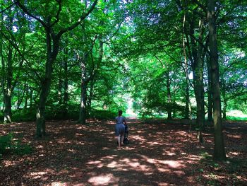 Rear view of man walking in forest