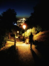 View of illuminated street lights at night