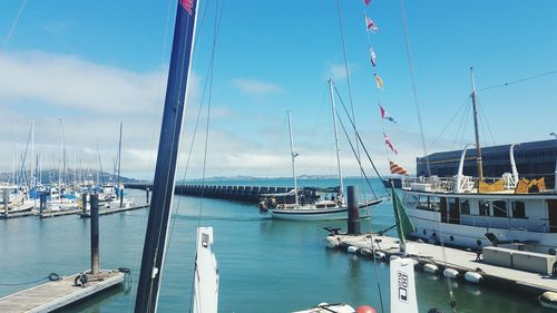 Sailboats moored at harbor