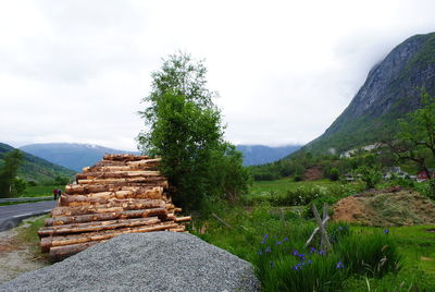 Scenic view of landscape against sky