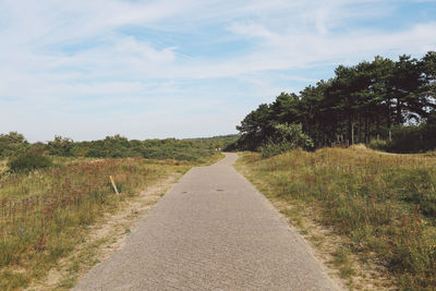 Dirt road passing through field