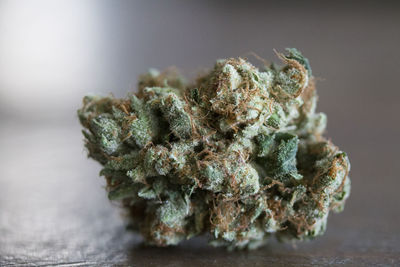 Skywalker cannabis plant. medical marijuana nug. weed bud