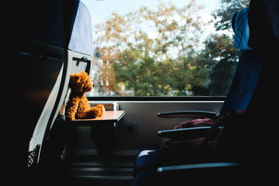 Teddy bear by window in bus