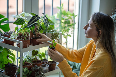 Interested woman sits near window, holds small indoor plant in pot at home. take care of houseplants