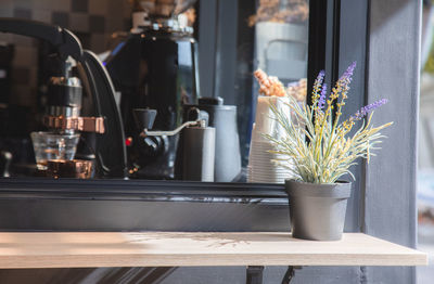 Close-up of potted plants on table