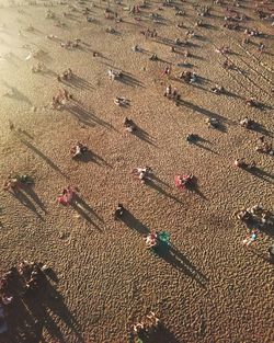 View of sandy beach