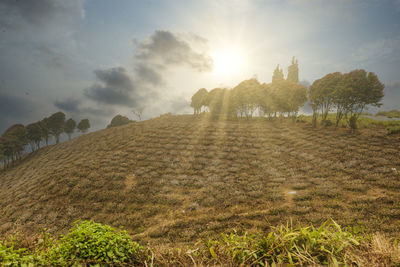 Scenic view of mountain agricultural field against sky