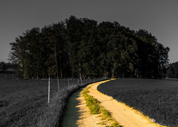 Road amidst trees on field against sky