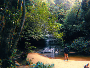 Scenic view of waterfall in forest
