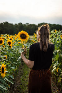 Rear view of woman standing by sunflower
