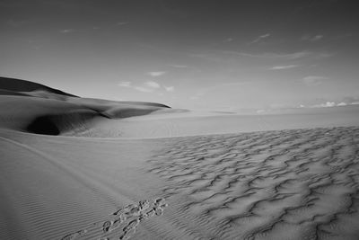 Person on sand at beach against sky