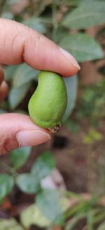 Close-up of hand holding fruit