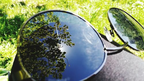 Reflection of trees on sunglasses against sky
