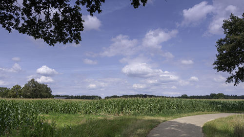 Scenic view of land against sky