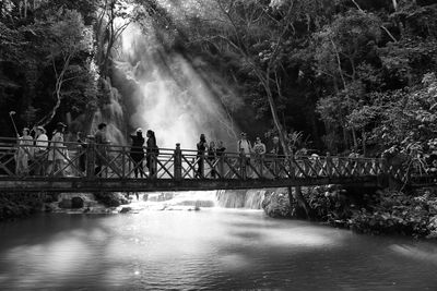 People on bridge over river in forest