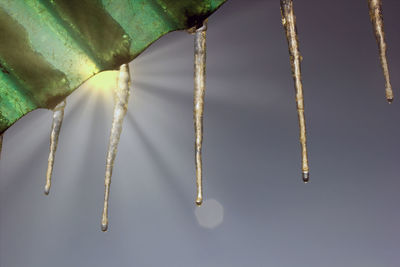 High angle view of a frozen ice against sun