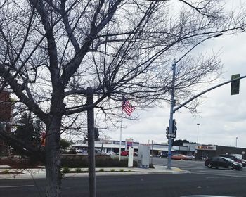 Bare tree by road against sky in city