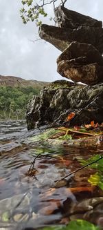 Surface level of rocks in water against sky