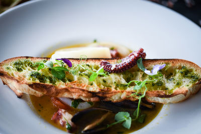 Close-up of meal served in plate