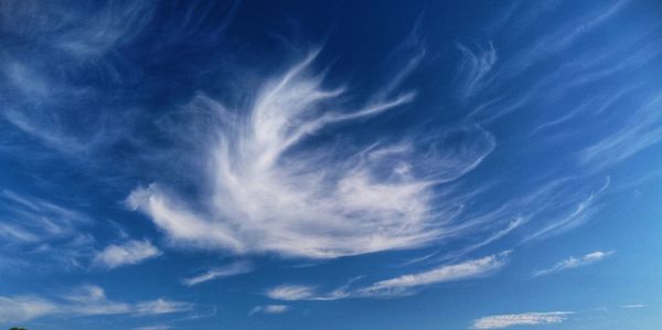 Low angle view of sky