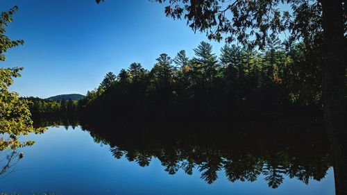 Reflection of trees in lake against sky