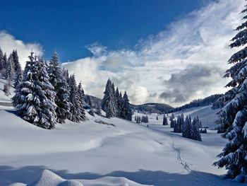 Scenic view of snowcapped mountains against sky