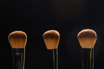 Close-up of paintbrushes on black background