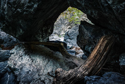 Rock formation in cave