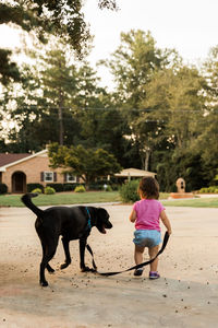 Rear view of boy with dog standing against trees