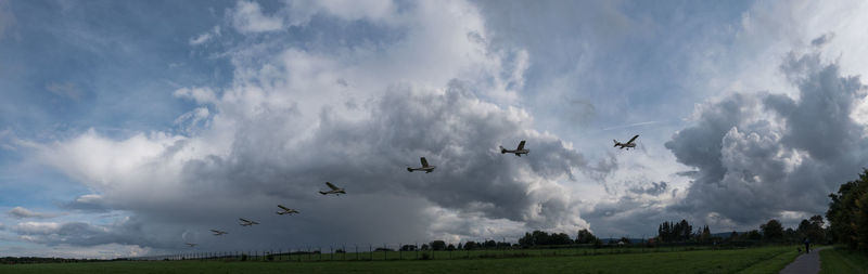 Low angle view of birds flying against sky