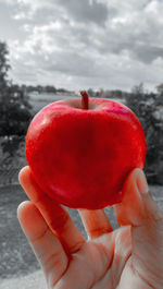 Close-up of hand holding strawberry