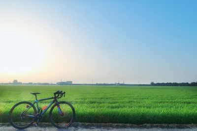 Scenic view of agricultural field against clear sky