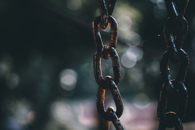 Close-up of chain hanging on rope