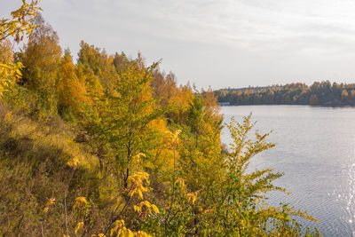 Plants by lake against sky during autumn