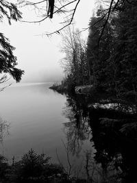 Reflection of trees in lake against sky