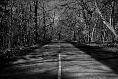 Road amidst bare trees in forest