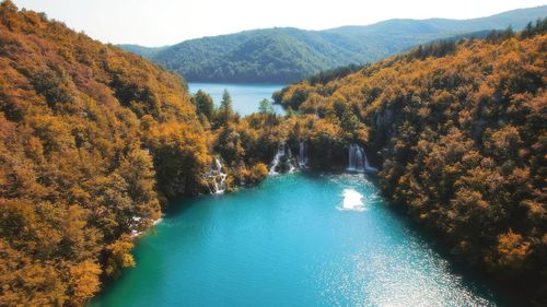 Scenic view of river amidst trees