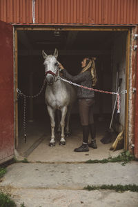 Woman talking care of horse
