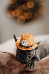 Rear view of woman wearing hat